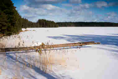 Kristoffer Skog